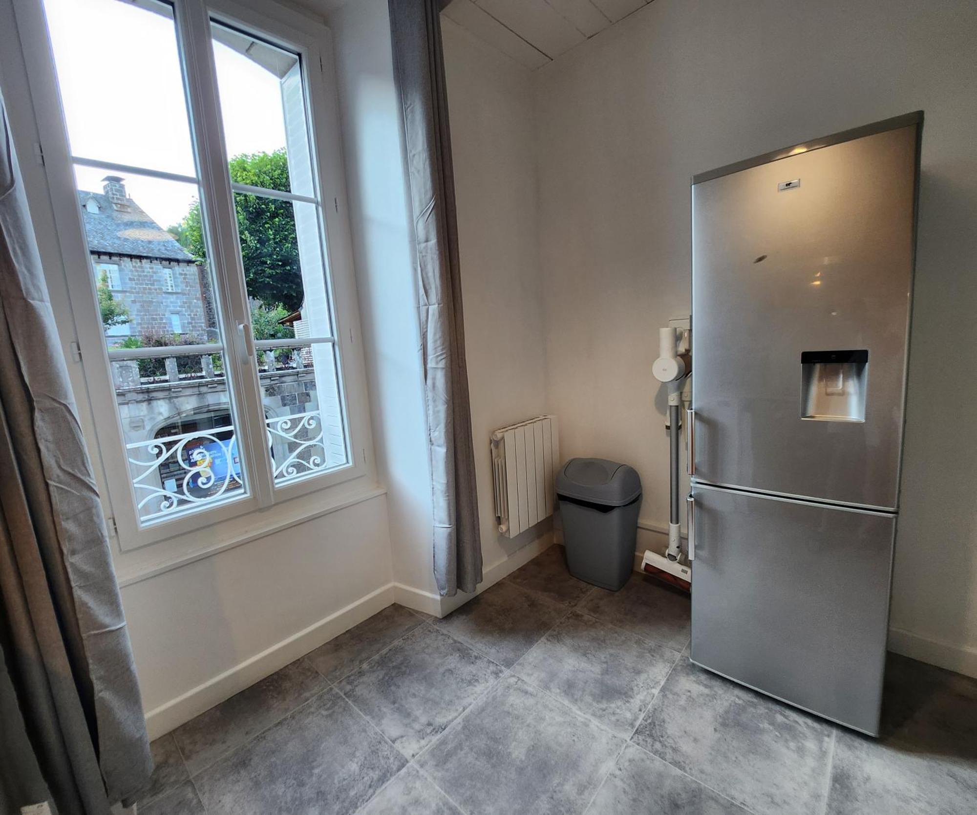 Chaleureux Appartement Refait A Neuf Vic-sur-Cère Eksteriør billede